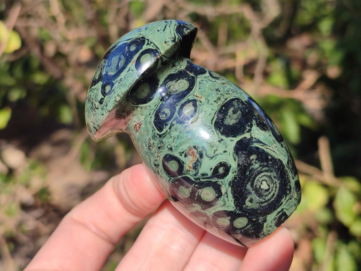Polished Stromatolite "Kambaba Jasper" Mushrooms x 12 From Katsepy, Madagascar - Toprock Gemstones and Minerals 