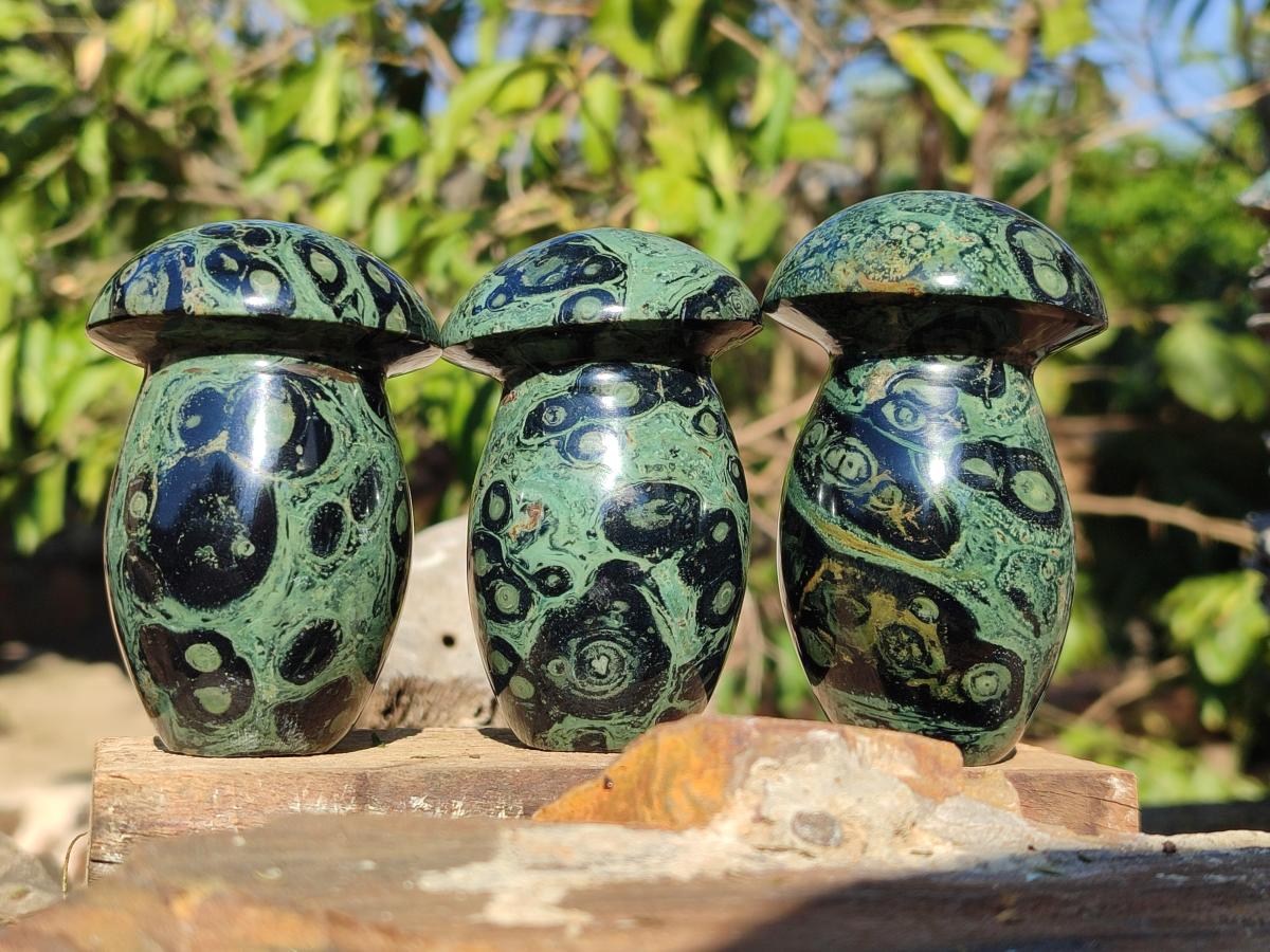 Polished Stromatolite "Kambaba Jasper" Mushrooms x 12 From Katsepy, Madagascar - Toprock Gemstones and Minerals 