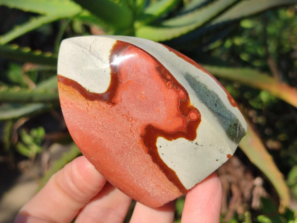 Polished Small Polychrome Jasper Flames x 12 From NW Coast, Madagascar - Toprock Gemstones and Minerals 