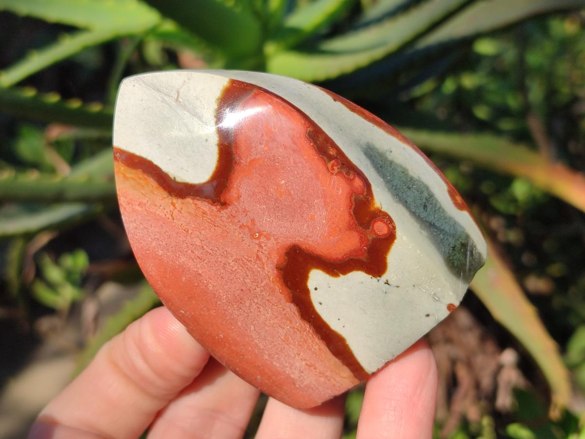 Polished Small Polychrome Jasper Flames x 12 From NW Coast, Madagascar - Toprock Gemstones and Minerals 