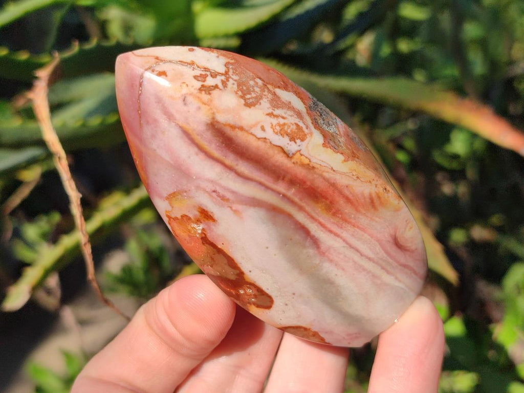 Polished Small Polychrome Jasper Flames x 12 From NW Coast, Madagascar - Toprock Gemstones and Minerals 