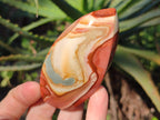 Polished Small Polychrome Jasper Flames x 12 From NW Coast, Madagascar - Toprock Gemstones and Minerals 
