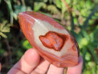 Polished Small Polychrome Jasper Flames x 12 From NW Coast, Madagascar - Toprock Gemstones and Minerals 