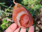 Polished Small Polychrome Jasper Flames x 12 From NW Coast, Madagascar - Toprock Gemstones and Minerals 