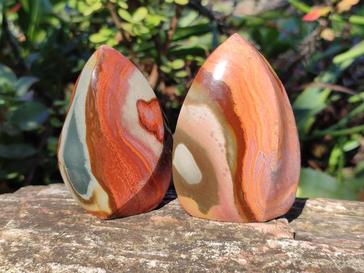 Polished Small Polychrome Jasper Flames x 12 From NW Coast, Madagascar - Toprock Gemstones and Minerals 
