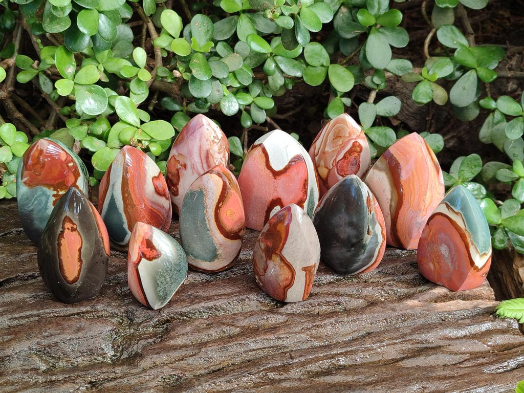 Polished Small Polychrome Jasper Flames x 12 From NW Coast, Madagascar - Toprock Gemstones and Minerals 