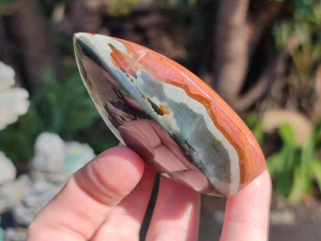 Polished Small Polychrome Jasper Flames x 12 From NW Coast, Madagascar - Toprock Gemstones and Minerals 