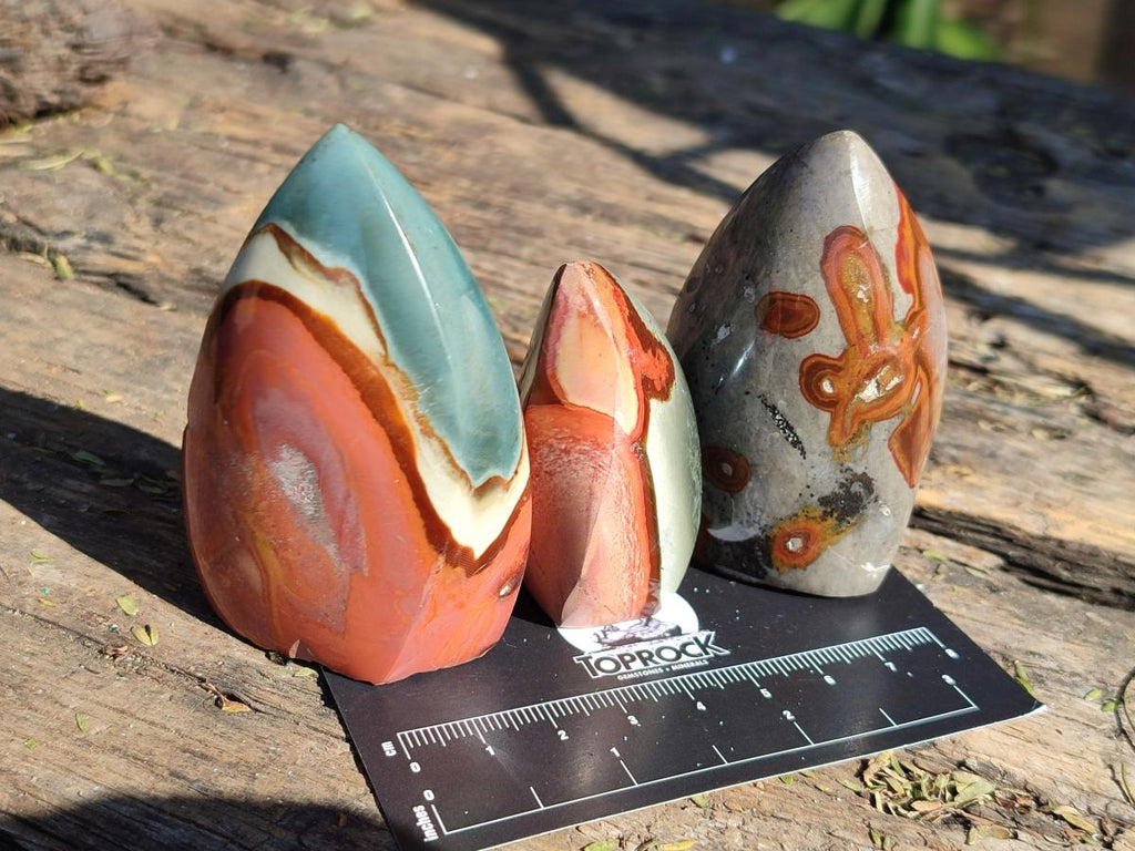 Polished Small Polychrome Jasper Flames x 12 From NW Coast, Madagascar - Toprock Gemstones and Minerals 