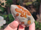 Polished Small Polychrome Jasper Flames x 12 From NW Coast, Madagascar - Toprock Gemstones and Minerals 