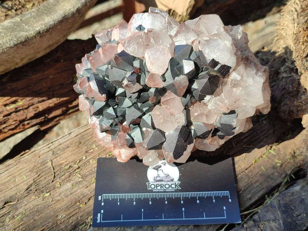 Natural Mixed Candle Quartz and Blacknite Clusters x 4 From Antsirabe, Madagascar - Toprock Gemstones and Minerals 