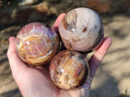 Polished Red Podocarpus Petrified Wood Spheres x 6 From Mahajanga, Madagascar - Toprock Gemstones and Minerals 