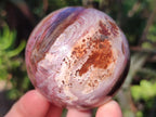 Polished Red Podocarpus Petrified Wood Spheres x 6 From Mahajanga, Madagascar - Toprock Gemstones and Minerals 