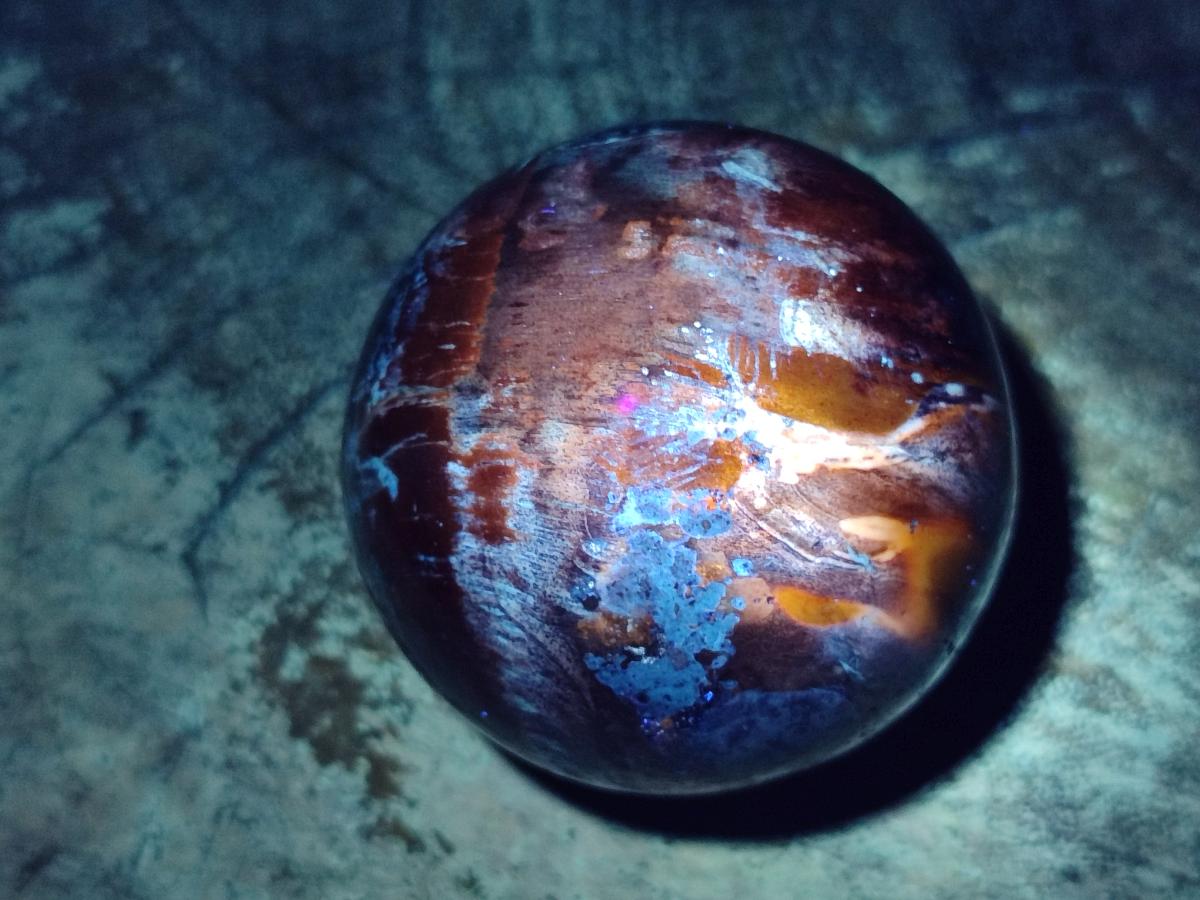 Polished Red Podocarpus Petrified Wood Spheres x 6 From Mahajanga, Madagascar - Toprock Gemstones and Minerals 