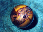 Polished Red Podocarpus Petrified Wood Spheres x 6 From Mahajanga, Madagascar - Toprock Gemstones and Minerals 