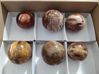 Polished Red Podocarpus Petrified Wood Spheres x 6 From Mahajanga, Madagascar - Toprock Gemstones and Minerals 