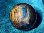 Polished Red Podocarpus Petrified Wood Spheres x 6 From Mahajanga, Madagascar - Toprock Gemstones and Minerals 