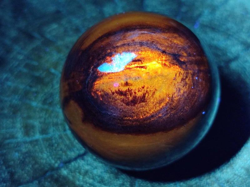 Polished Red Podocarpus Petrified Wood Spheres x 6 From Mahajanga, Madagascar - Toprock Gemstones and Minerals 