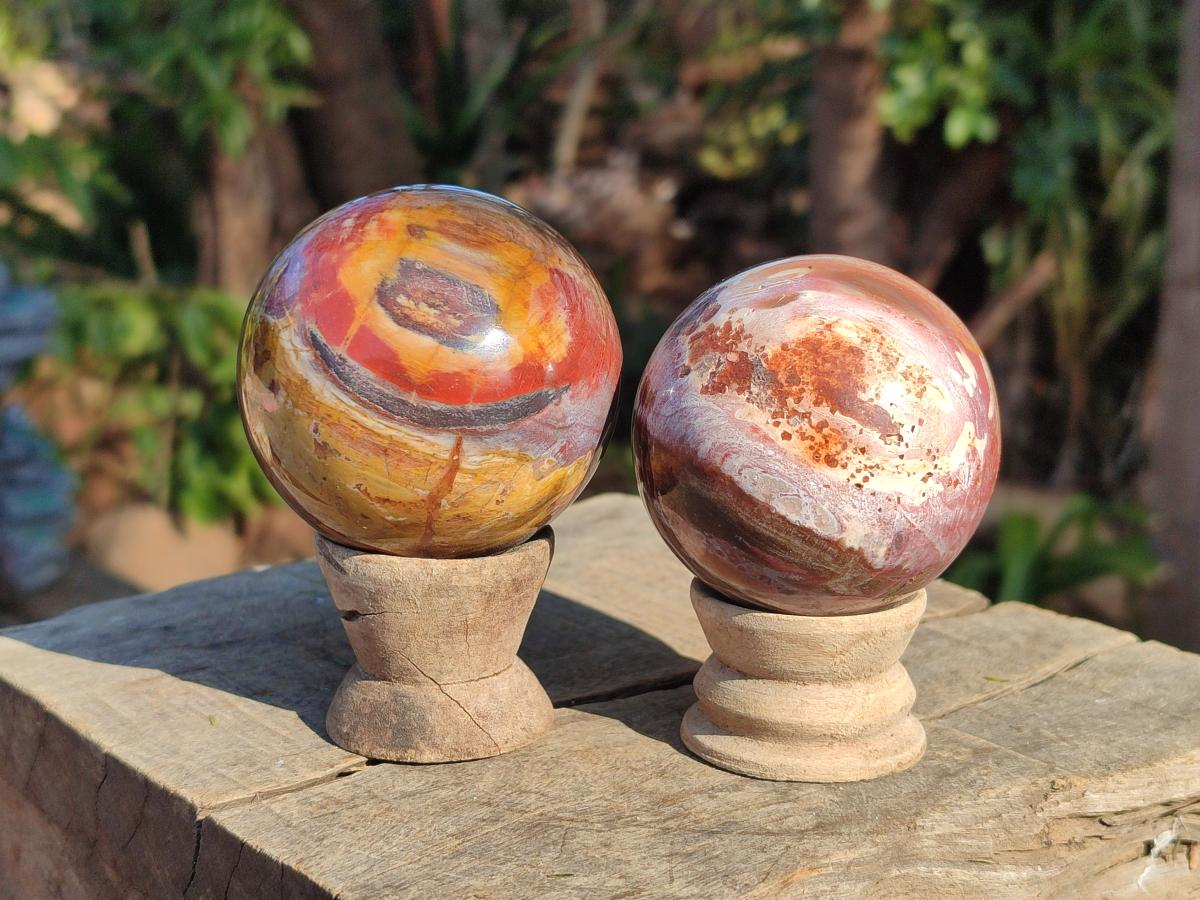 Polished Red Podocarpus Petrified Wood Spheres x 6 From Mahajanga, Madagascar - Toprock Gemstones and Minerals 