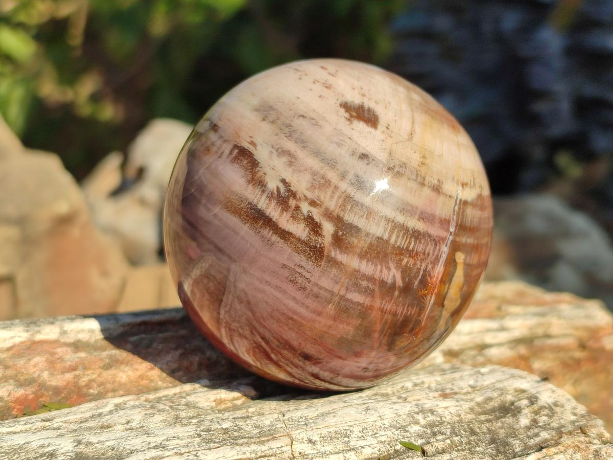 Polished Red Podocarpus Petrified Wood Spheres x 6 From Mahajanga, Madagascar - Toprock Gemstones and Minerals 
