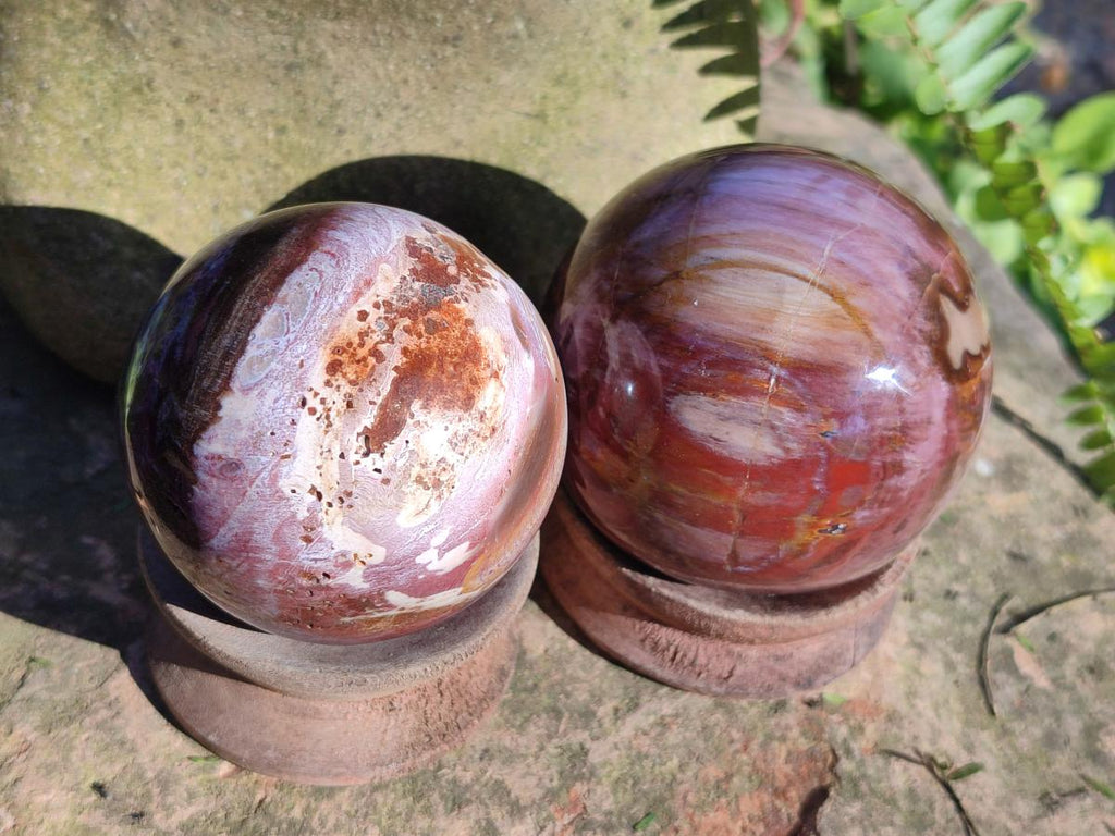 Polished Red Podocarpus Petrified Wood Spheres x 6 From Mahajanga, Madagascar - Toprock Gemstones and Minerals 