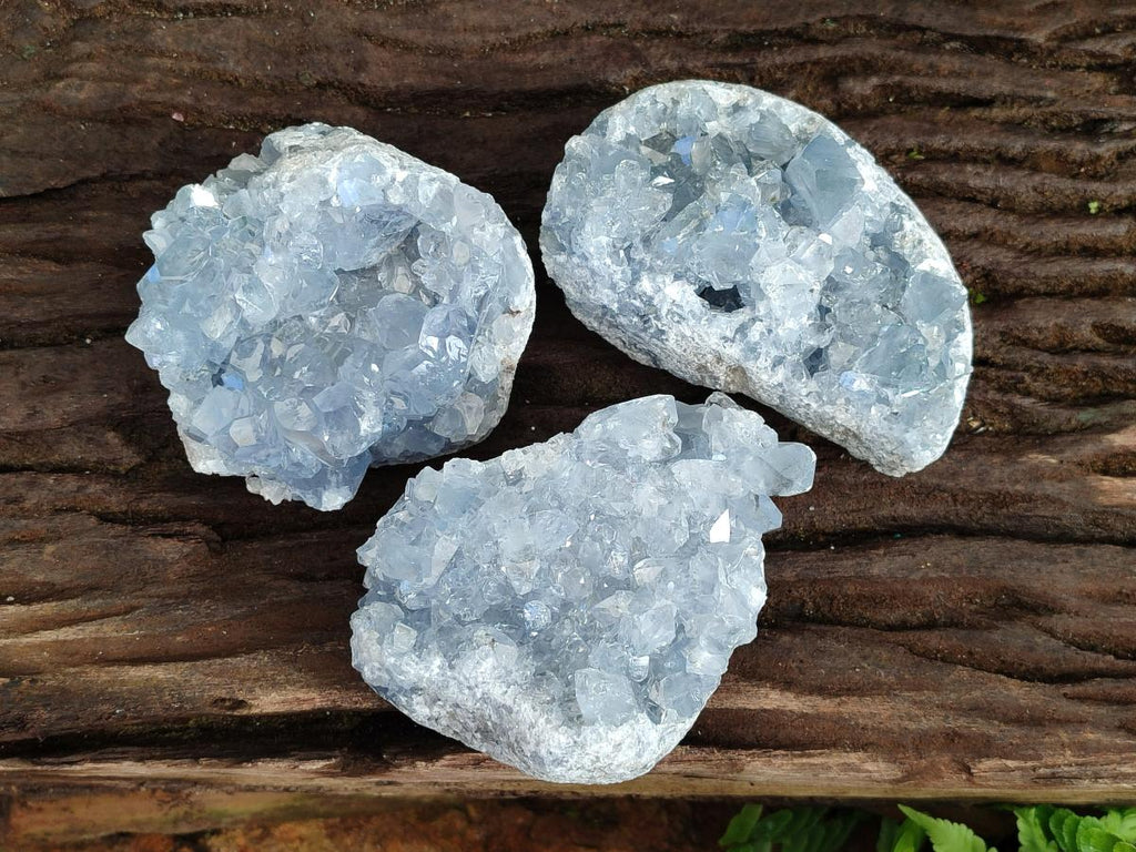 Natural Blue Celestite Specimens x 3 From Sakoany, Madagascar - Toprock Gemstones and Minerals 