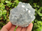Natural Blue Celestite Specimens x 3 From Sakoany, Madagascar - Toprock Gemstones and Minerals 
