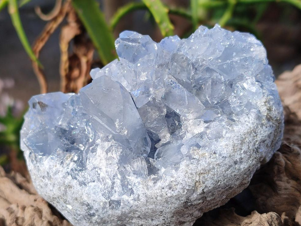 Natural Blue Celestite Specimens x 3 From Sakoany, Madagascar - Toprock Gemstones and Minerals 