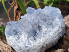 Natural Blue Celestite Specimens x 3 From Sakoany, Madagascar - Toprock Gemstones and Minerals 