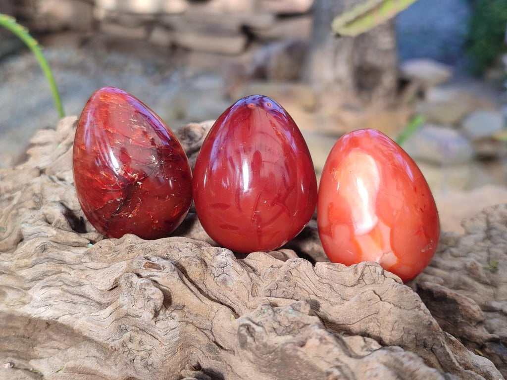 Polished Carnelian Agate Gemstone Eggs x 12 From Madagascar - Toprock Gemstones and Minerals 