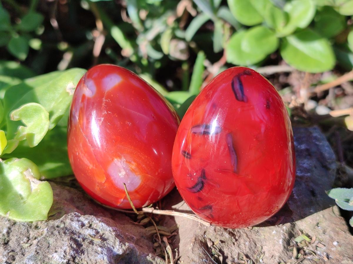 Polished Carnelian Agate Gemstone Eggs x 12 From Madagascar - Toprock Gemstones and Minerals 