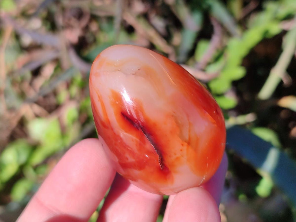 Polished Carnelian Agate Gemstone Eggs x 12 From Madagascar - Toprock Gemstones and Minerals 