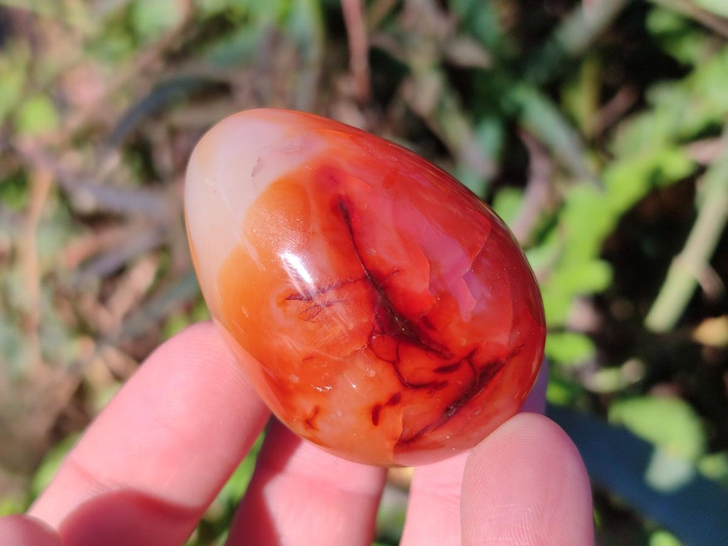 Polished Carnelian Agate Gemstone Eggs x 12 From Madagascar - Toprock Gemstones and Minerals 