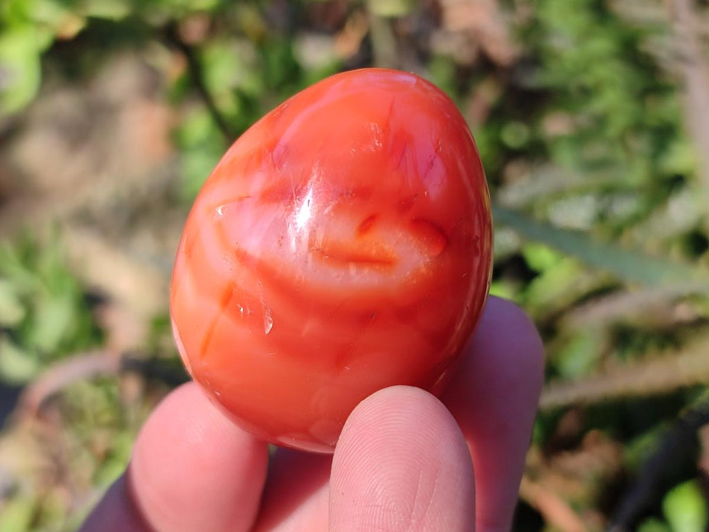 Polished Carnelian Agate Gemstone Eggs x 12 From Madagascar - Toprock Gemstones and Minerals 