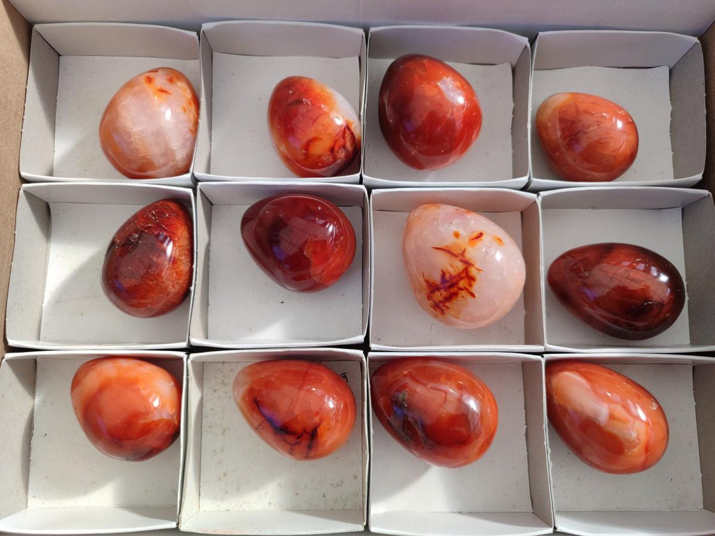 Polished Carnelian Agate Gemstone Eggs x 12 From Madagascar - Toprock Gemstones and Minerals 
