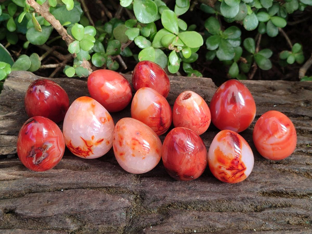 Polished Carnelian Agate Gemstone Eggs x 12 From Madagascar - Toprock Gemstones and Minerals 