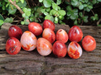 Polished Carnelian Agate Gemstone Eggs x 12 From Madagascar - Toprock Gemstones and Minerals 