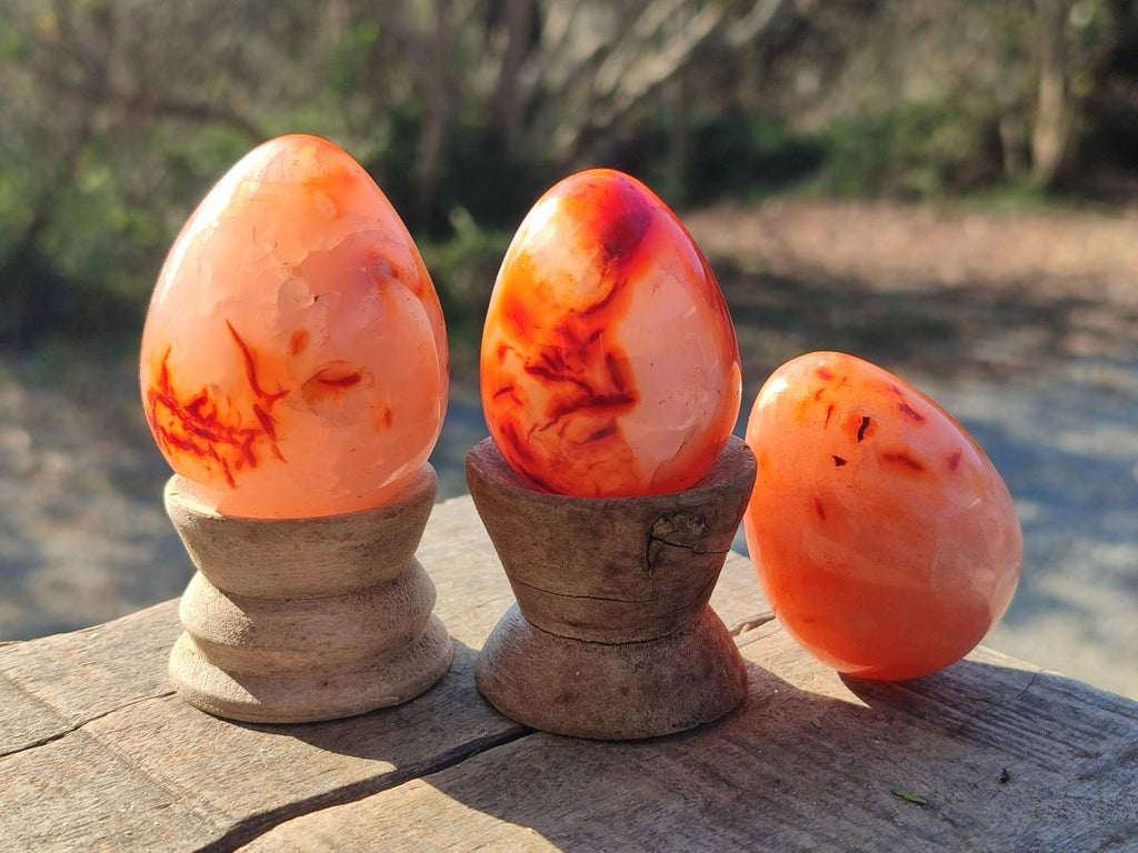 Polished Carnelian Agate Gemstone Eggs x 12 From Madagascar - Toprock Gemstones and Minerals 
