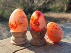 Polished Carnelian Agate Gemstone Eggs x 12 From Madagascar - Toprock Gemstones and Minerals 
