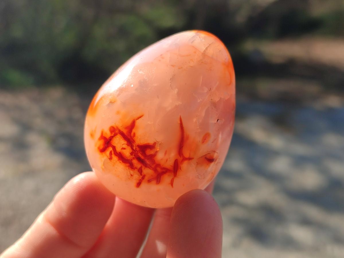 Polished Carnelian Agate Gemstone Eggs x 12 From Madagascar - Toprock Gemstones and Minerals 