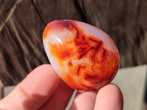 Polished Carnelian Agate Gemstone Eggs x 12 From Madagascar - Toprock Gemstones and Minerals 