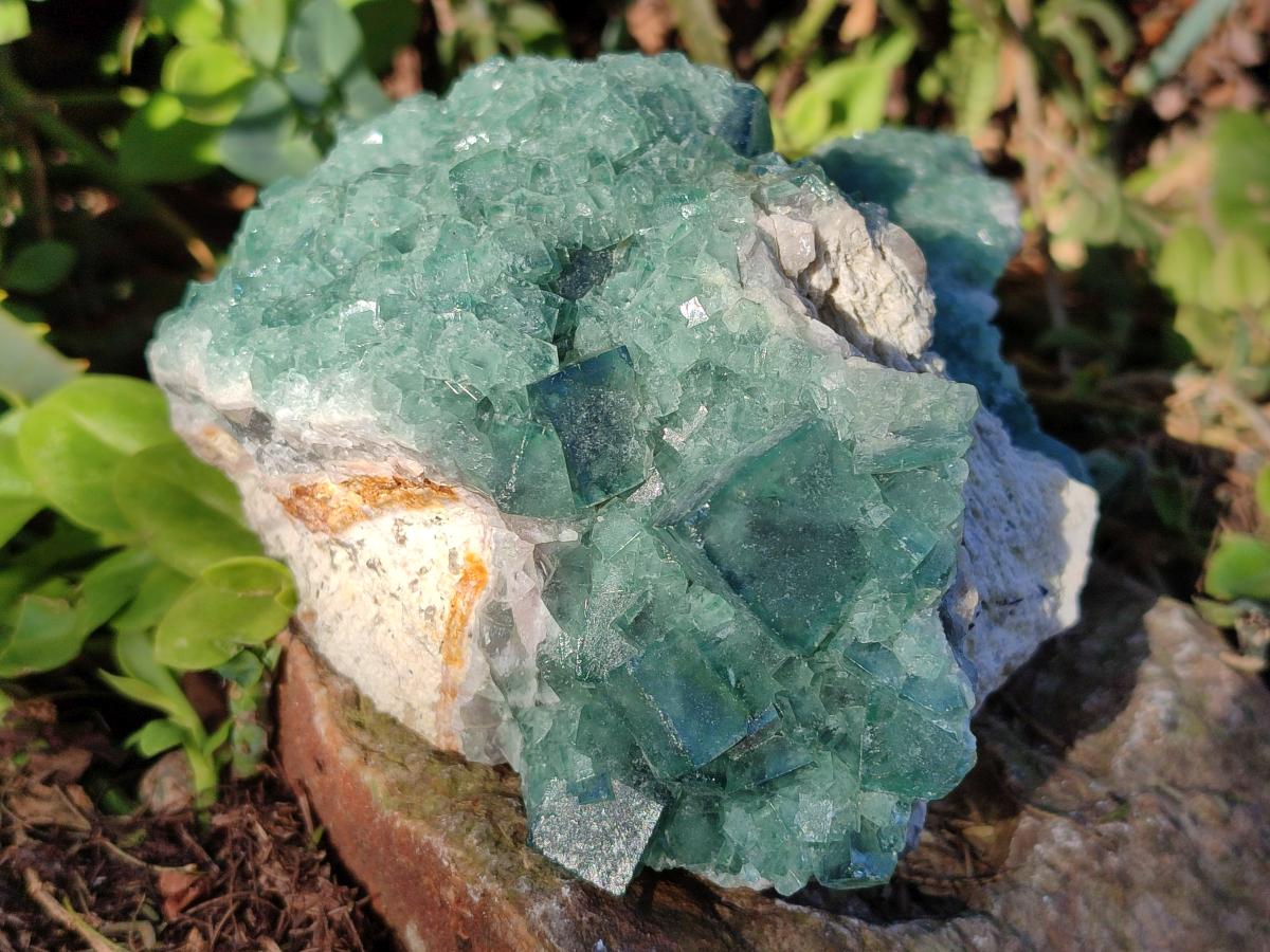 Natural Large Green Cubic Fluorite Specimen x 1 From Mandrosonoro, Madagascar - Toprock Gemstones and Minerals 