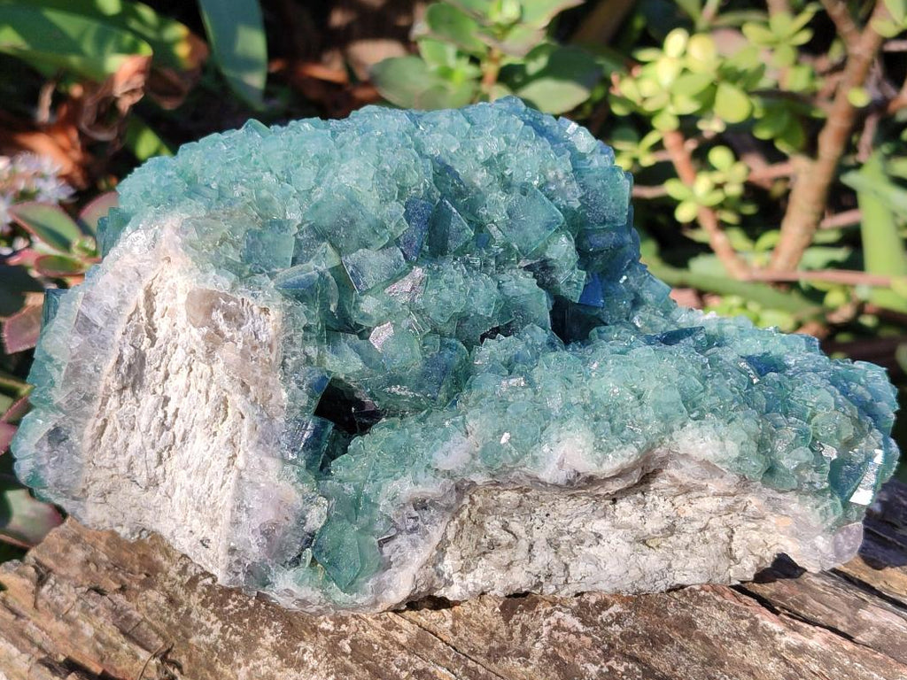 Natural Large Green Cubic Fluorite Specimen x 1 From Mandrosonoro, Madagascar - Toprock Gemstones and Minerals 