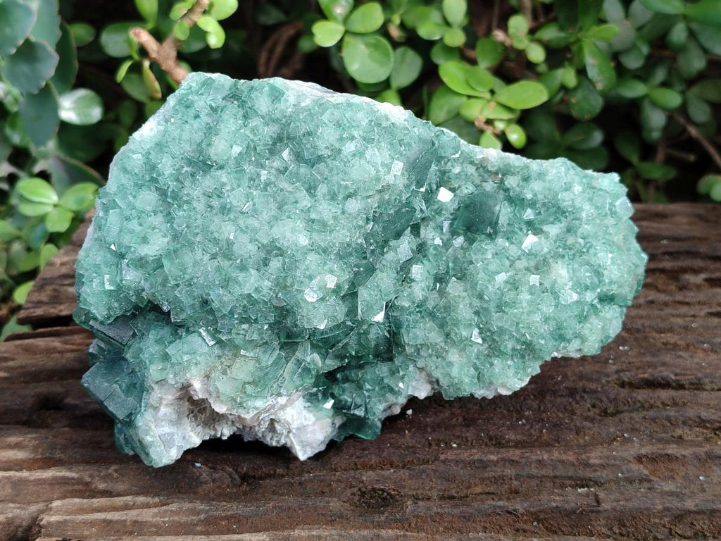 Natural Large Green Cubic Fluorite Specimen x 1 From Mandrosonoro, Madagascar - Toprock Gemstones and Minerals 