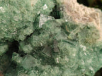 Natural Large Green Cubic Fluorite Specimen x 1 From Mandrosonoro, Madagascar - Toprock Gemstones and Minerals 