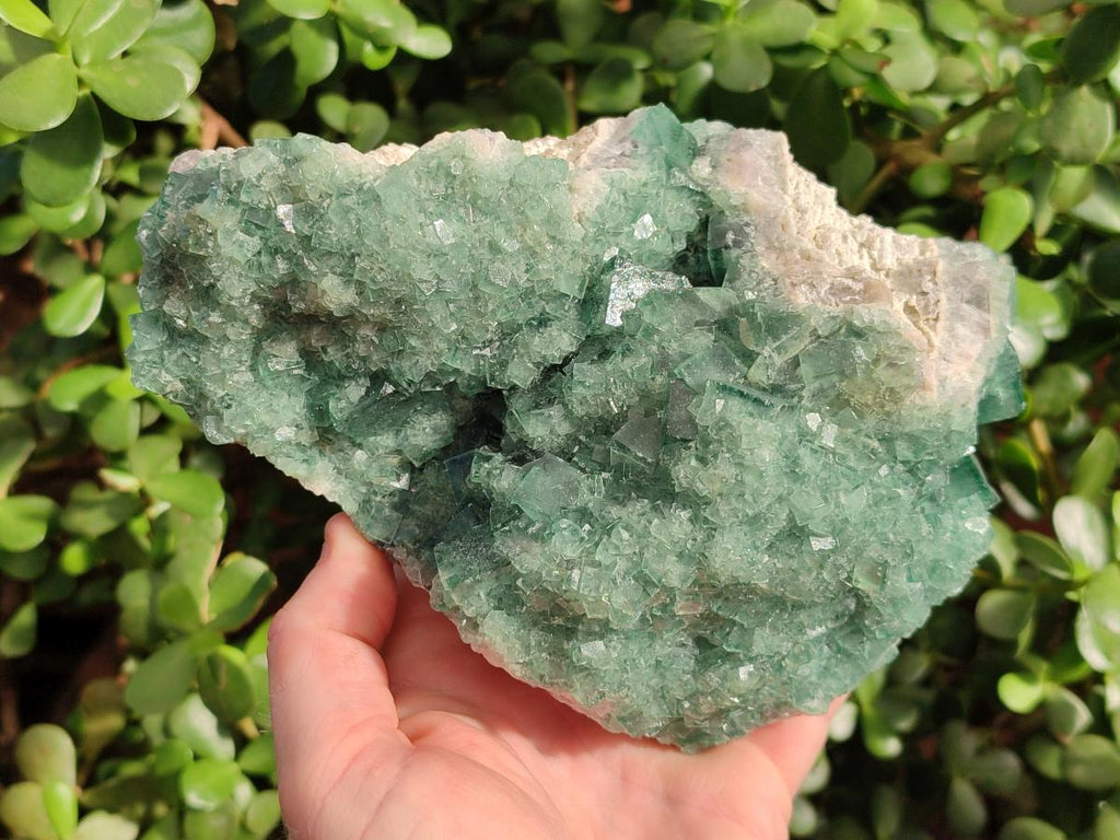 Natural Large Green Cubic Fluorite Specimen x 1 From Mandrosonoro, Madagascar - Toprock Gemstones and Minerals 