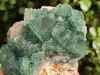 Natural Large Green Cubic Fluorite Specimen x 1 From Mandrosonoro, Madagascar - Toprock Gemstones and Minerals 