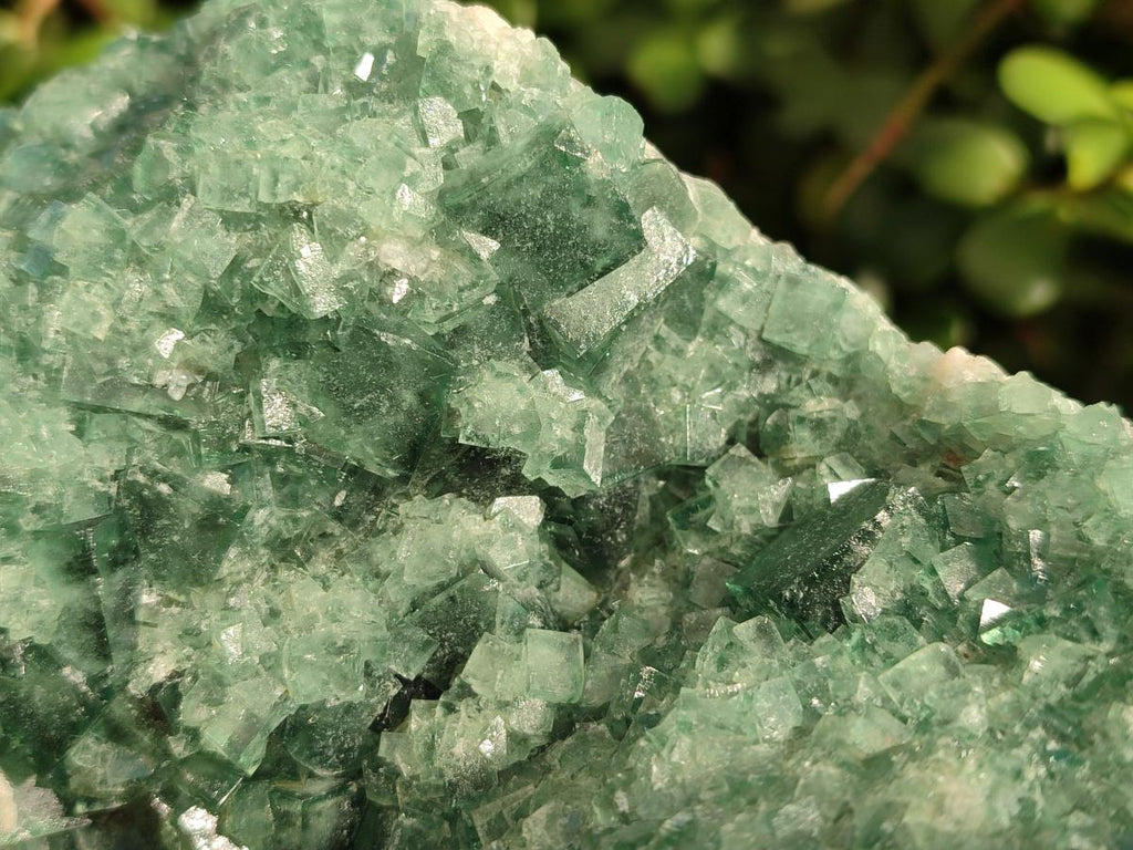 Natural Large Green Cubic Fluorite Specimen x 1 From Mandrosonoro, Madagascar - Toprock Gemstones and Minerals 