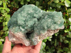 Natural Large Green Cubic Fluorite Specimen x 1 From Mandrosonoro, Madagascar - Toprock Gemstones and Minerals 