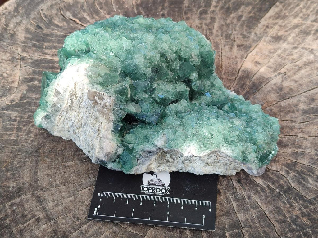 Natural Large Green Cubic Fluorite Specimen x 1 From Mandrosonoro, Madagascar - Toprock Gemstones and Minerals 
