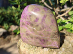 Polished Stichtite Standing Display Pieces x 2 From Barberton, South Africa - Toprock Gemstones and Minerals 